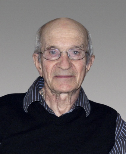 Martin Brisson