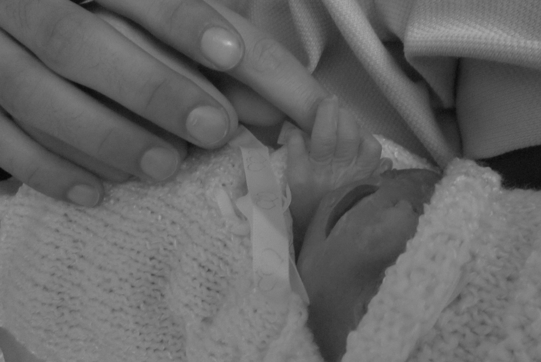 Bébé James Laprise