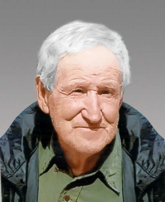 Louis Georges Boivin