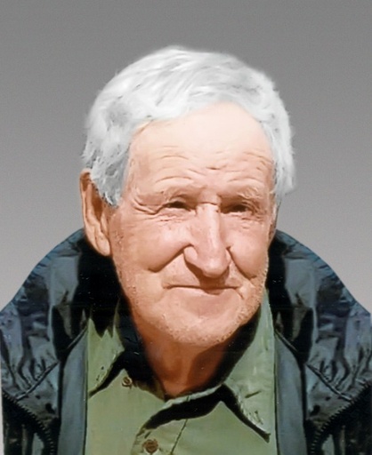 Louis Georges Boivin