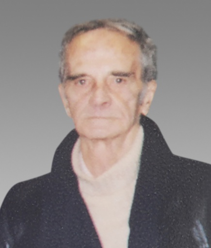 Georges-Émile Otis